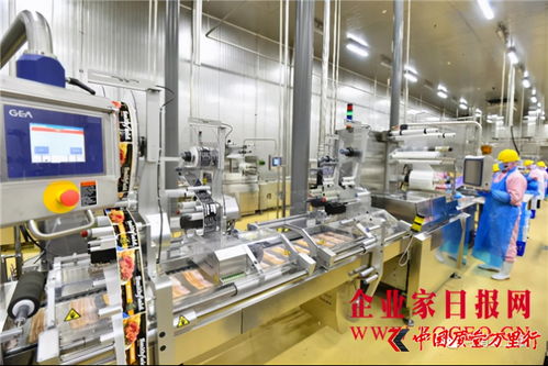 雙匯發展 完善產業布局，增強核心競爭力，攜手鄭州軟件推動產業升級